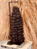 Burmese Curl