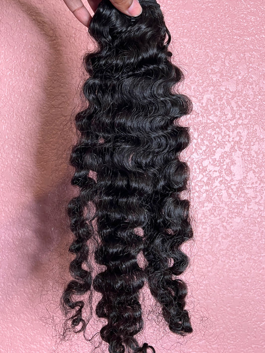 Burmese Curl